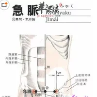 急脉穴位位置图