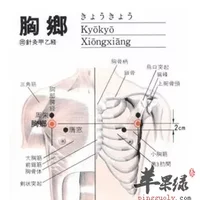 胸乡穴位位置图