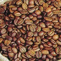 咖啡起源发展之路