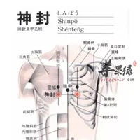 神封穴位位置图