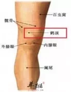 鹤顶穴的按摩方法 推荐相关穴位