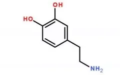 多巴胺是什么