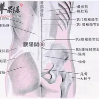 腰阳关的位置图