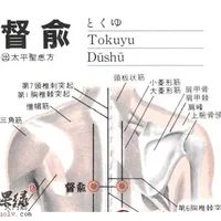 督俞穴位位置图