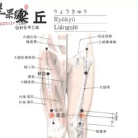 梁丘穴位位置图