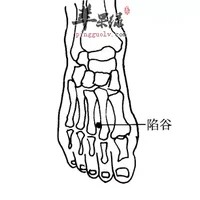 陷谷穴位位置图