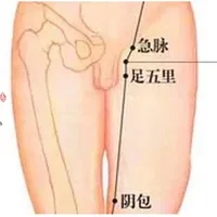 阴廉穴穴位位置图