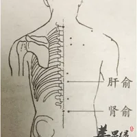 肾俞穴穴位位置图