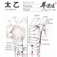 太乙穴位位置图