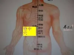 脊中穴在什么位置 教你按摩方法