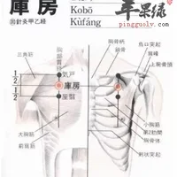 库房穴位位置图