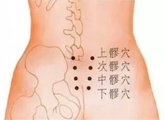 次髎穴位的保健和配伍应用