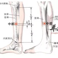 中都穴位位置图