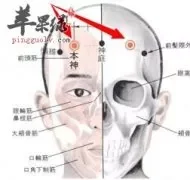 本神穴的具体位置 推荐按摩的手法