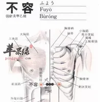 不容穴位位置图