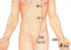 急脉穴的功用与操作方法讲解