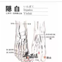 隐白穴穴位位置图