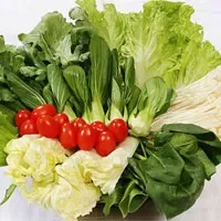 深绿色蔬菜更利健康