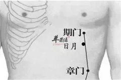 日月穴的功效以及配伍方式