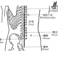 十七椎穴位位置图