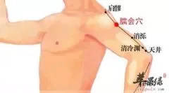 臑会穴的位置 能够治疗肩部痛