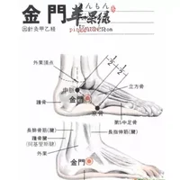 金门穴位位置图