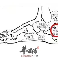 水泉穴位位置图