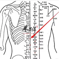脊中穴位位置图