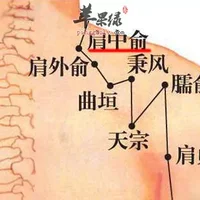 肩外俞穴位位置图