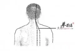 按摩大杼穴能够保护颈椎健康