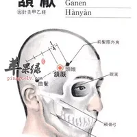 颔厌穴位位置图