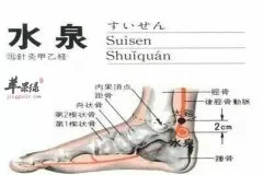 水泉穴的作用和治病功效要知道