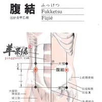 腹结穴位位置图