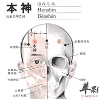 本神穴位位置图