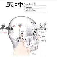 天冲穴位位置图