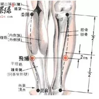 飞扬穴位位置图