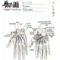 太渊穴位位置图