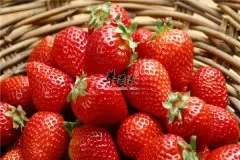 草莓的独特洁白牙齿作用