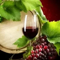 法国葡萄酒的历史你知道吗