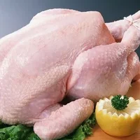肉鸡肉土鸡肉和蛋鸡肉 吃鸡肉时需要了解的小常识
