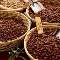 巴西咖啡的功效与作用-饮用巴西咖啡的注意事项