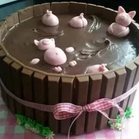 上海惊现黄浦江死猪蛋糕 系网友自制巧克力蛋糕
