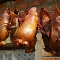 中国林蛙(雪蛤)的功效与作用 林蛙油的功效与作用及食用方法