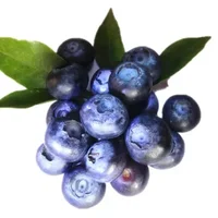 蓝莓的营养价值-蓝莓怎么吃？