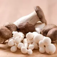 吃蘑菇上火吗？蘑菇的营养价值 蘑菇的功效与作用