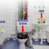 厕所除臭小窍门注意事项 如何用植物除厕所臭味