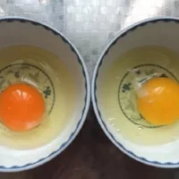 土鸡蛋与普通鸡蛋有什么区别 土鸡蛋与普通鸡蛋营养价值对比分析