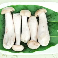 金福菇的做法-金福菇的功效与作用