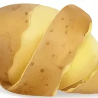发芽的土豆能不能吃 土豆的正确储藏技巧减少土豆发芽几率
