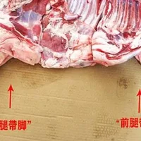 教你区分猪肉前腿肉和后腿肉 不同位置口感不一样别买错了